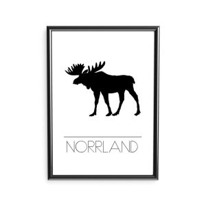 Poster – Norrland, älg